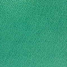 Mint colour swatch